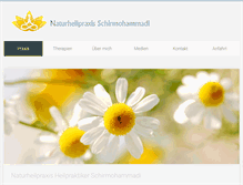 Tablet Screenshot of naturheilpraxis-schirmohammadi.de